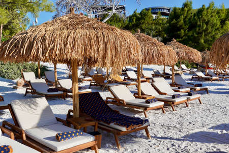 View of nice tropical beach with palms around. Holiday and Vacationの写真素材