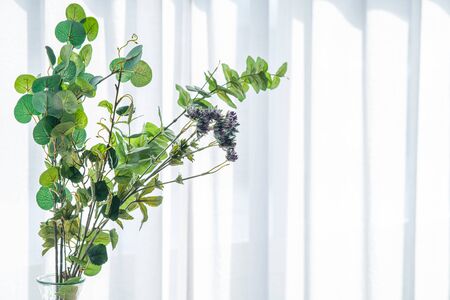Bouquet in Vase near decorated white curtain.  Modern lifestyle concept.の写真素材