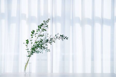 Bouquet in Vase near decorated white curtain.  Modern lifestyle concept.の写真素材