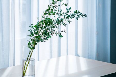 Bouquet in Vase near decorated white curtain.  Modern lifestyle concept.の写真素材