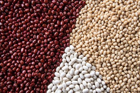 Various kinds of beans image. Red adzuki beans, white adzuki beans, white kidney beans....