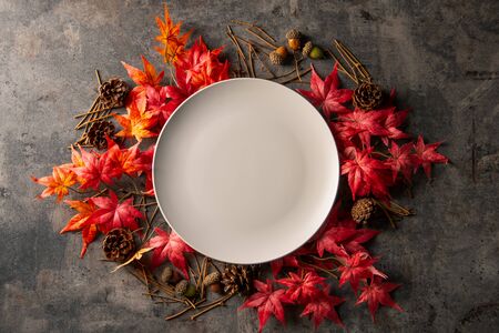Autumn frame with artificial red maple leaves and empty white plate.の写真素材