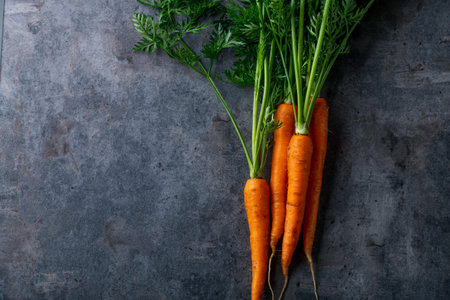 Fresh carrots on dark background.