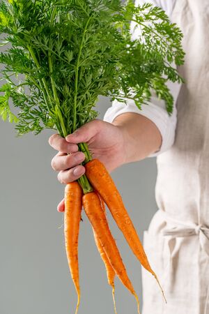Bunch of Fresh Carrots in Man's Hand.の写真素材