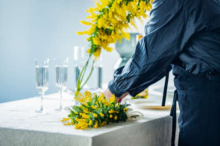 Woman placing bouquet of mimosa on a dining table.の写真素材
