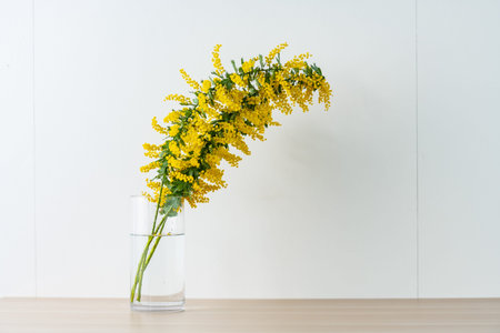 Bouquet of yellow mimosa flowers in a vase.