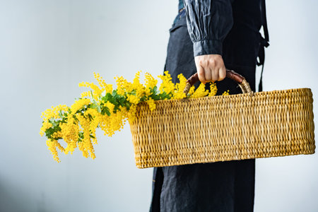 Woman holding bouquet of mimosa in the basket.の写真素材
