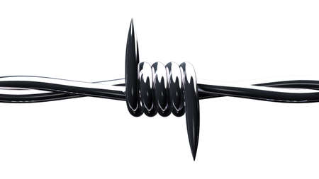 Barbwire on white background.
3D illustration.の写真素材
