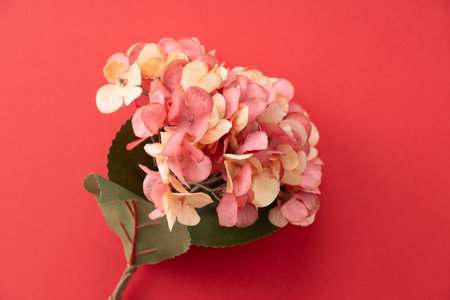 Artificial flower bouquet.
Modern lifestyle image.の写真素材