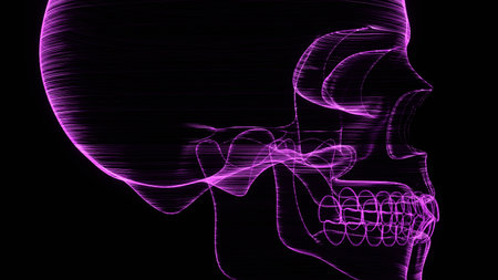A holographic skull with a wireframe design. Perfect for futuristic, sci-fi, or dark-themed visuals.の写真素材