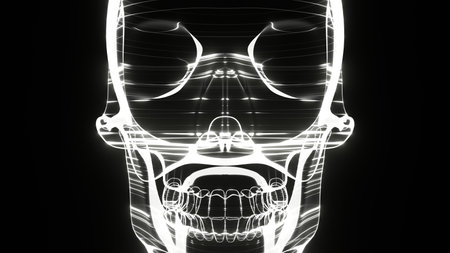 A holographic skull with a wireframe design. Perfect for futuristic, sci-fi, or dark-themed visuals.の写真素材