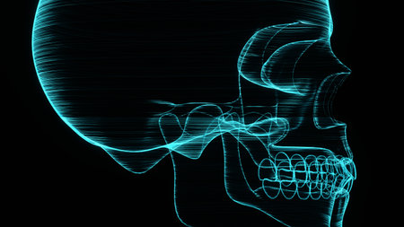 A holographic skull with a wireframe design. Perfect for futuristic, sci-fi, or dark-themed visuals.の写真素材