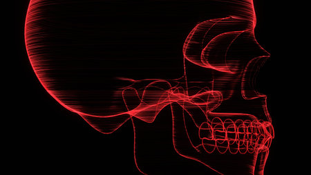 A holographic skull with a wireframe design. Perfect for futuristic, sci-fi, or dark-themed visuals.の写真素材