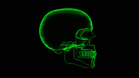 A holographic skull with a wireframe design. Perfect for futuristic, sci-fi, or dark-themed visuals.の写真素材