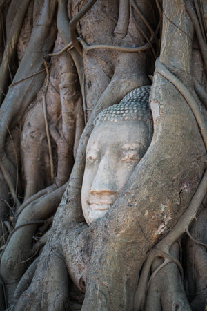 Buddha Statueの写真素材