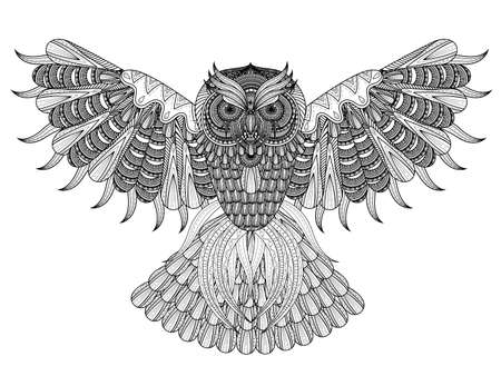 hand drawn Owl coloring page in exquisite styleのイラスト素材
