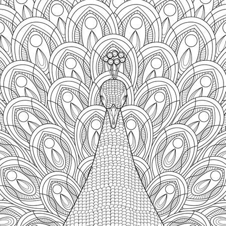 hand drawn peacock coloring page in exquisite styleのイラスト素材