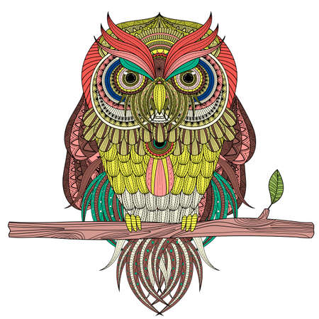 sumptuous owl coloring sitting on branch.のイラスト素材