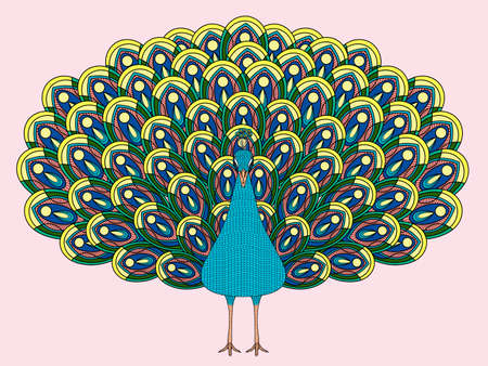 hand drawn peacock coloring page in exquisite styleのイラスト素材