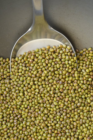 Lots of green beans on a spatula and an iron pan Roasting