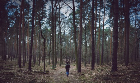 a loner man walking in the forestの写真素材