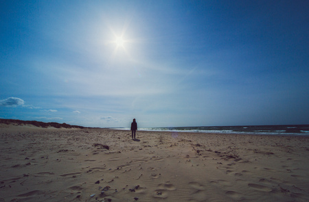 Lonely person at Beach at sea in sunshineの写真素材