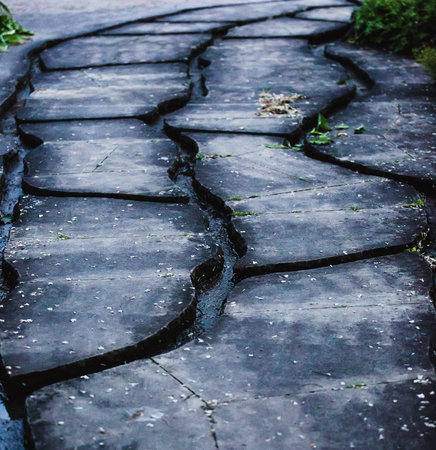 little streams as symbol for different choices and optionsの写真素材