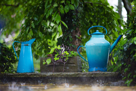 pouring Rain drops with watering can as background