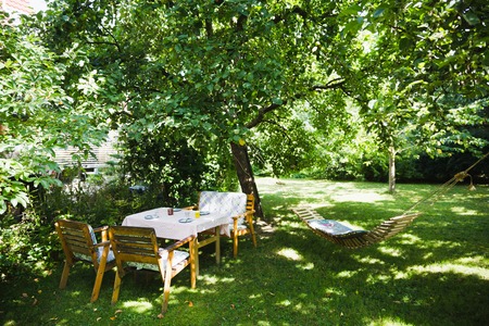 English garden in green lightfull summer selective focusの写真素材