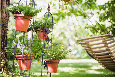 beautiful summer garden background with pots and hammockの写真素材