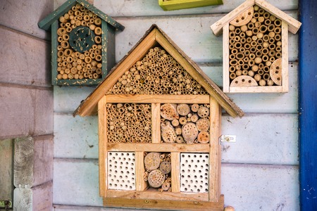 A nice wooden lacewig house in the garden for beesの写真素材