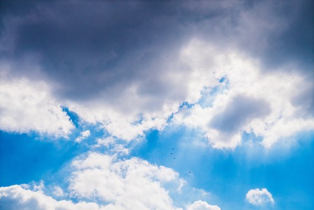Sun shining and birds flying over a heavenly blue skyの写真素材