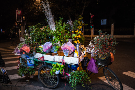 chinese trolley bicycle for transporting flowers and plantsの写真素材