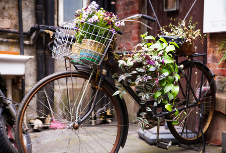 Colorful Bicycle carrying flowers parking against the wallの写真素材