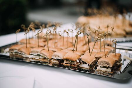 delicious canape snacks Haeppchen during an eventの写真素材