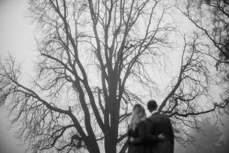 black and white photo of couple of man and woman from behind standing in front of bit tree in foggy atmosphereの写真素材