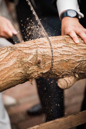 tree trunk sawing as ritual on wedding dayの写真素材