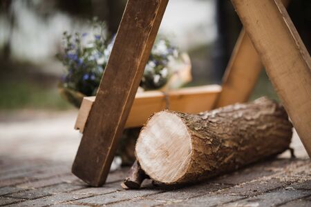 tree stem lieing for sawing cult on wedding dayの写真素材