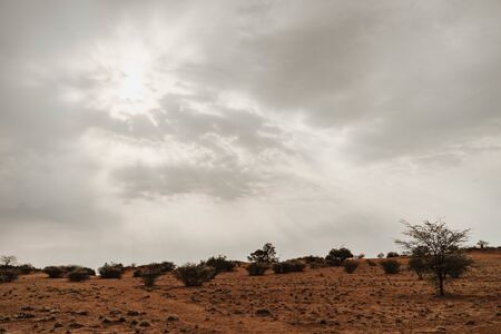 Magnificent clouds during sunset over savanna and Namibian Desert in Africaの写真素材