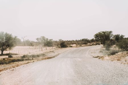 Panorama photo of a sand road in the Namib Desert in Namibiaの写真素材