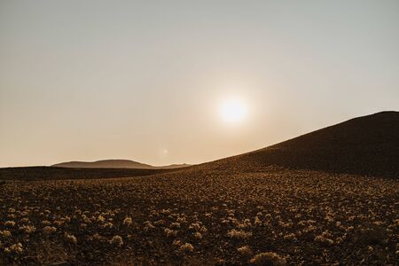 wideangle photo of sunrise over desert scenery with small cotton like plants and mountains in backgroundの写真素材