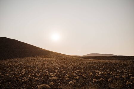 wideangle photo of sunset over desert scenery with small cotton like plants and mountains in backgroundの写真素材