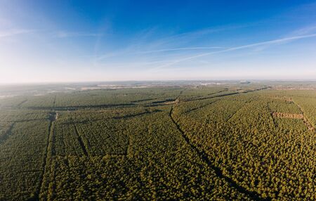 drone photo of the forest of Brandenburg, Germanyの写真素材