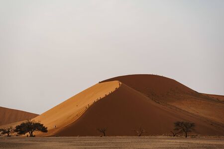 Tourists climb desert Dune No45 Namibia, Africaの写真素材
