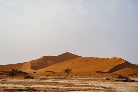 Tourists climb desert Dune No45 Namibia, Africaの写真素材