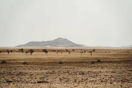 Moon Valley or Valle De La Luna canyon with eroded sandstone spikes panoramaの写真素材
