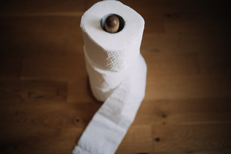 several toilet paper rolls top of each other