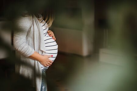 Attractive young pregnant woman holding her belly at homeの写真素材