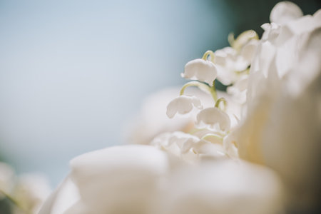 Lily of the Valley with bokeh background at summer evening