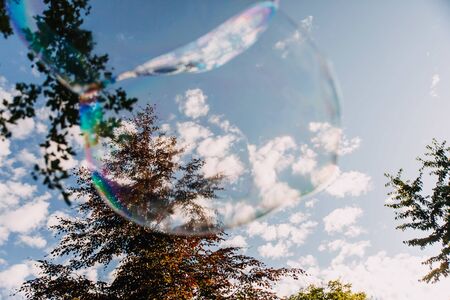bubble in the sky of a forest between the treesの写真素材